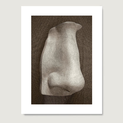 David's nose on a dark background, anatomy art print on paper.