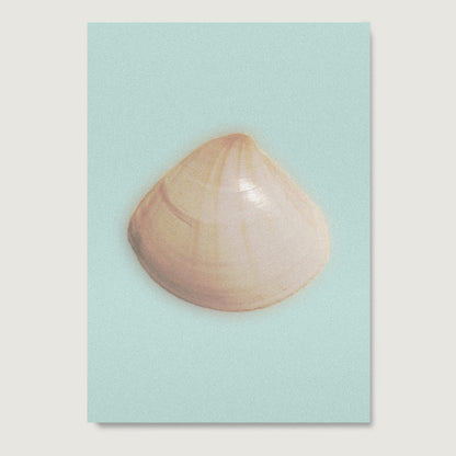 High quality paper art print with a seashell on a light blue background.