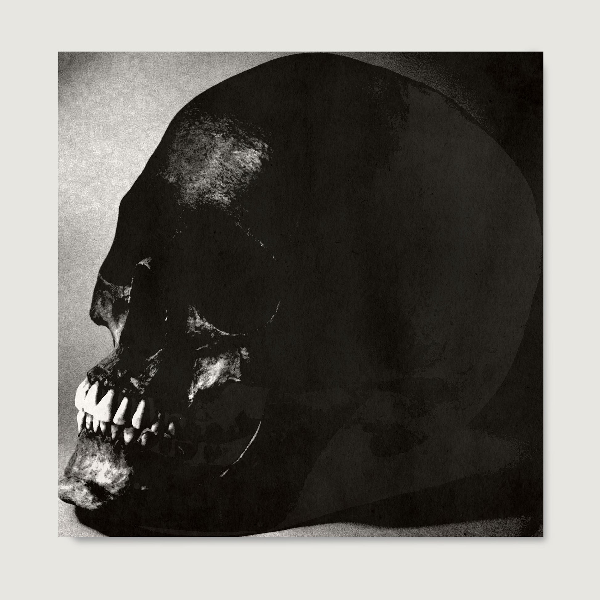 Black and white skull pop art art print on paper.
