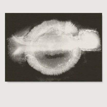 Abstract black and white art print on paper.