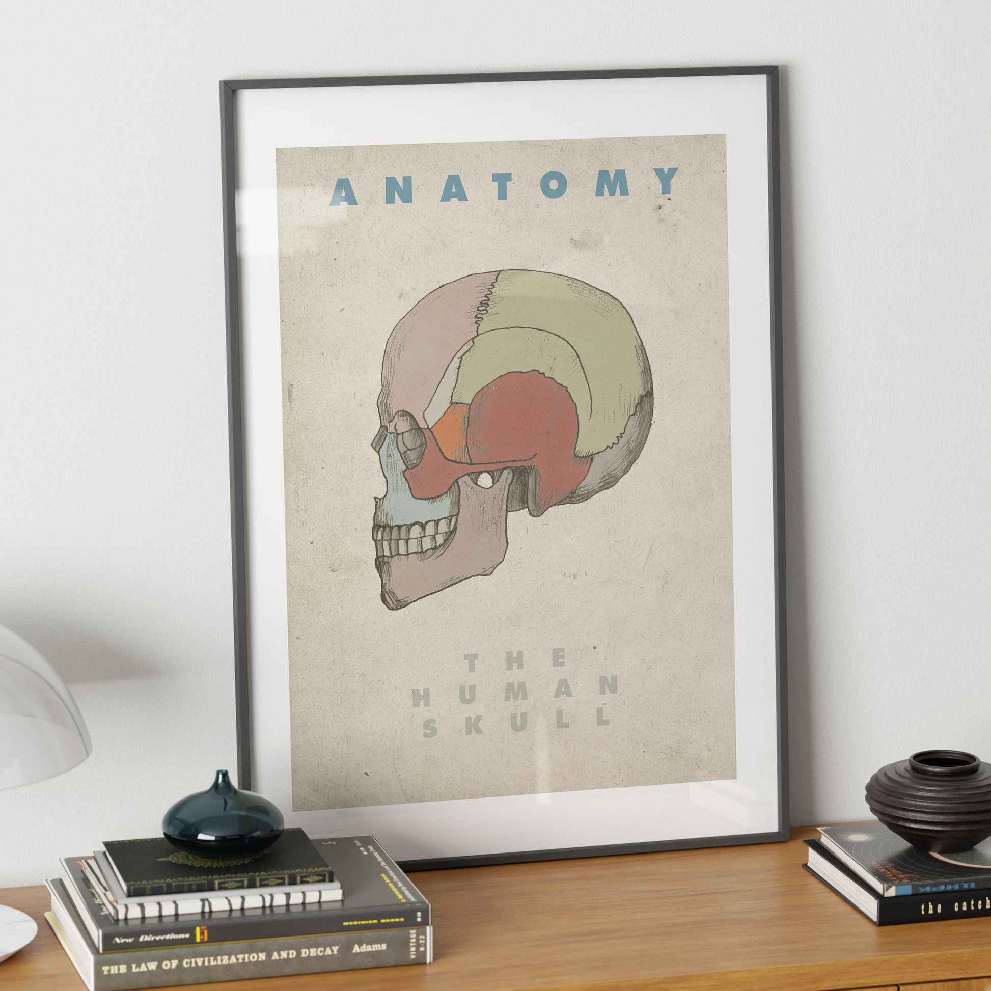 The Human skull vintage anatomy art print in a metallic frame.