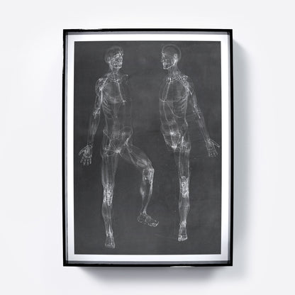 Black and white anatomy art print depicting the human body.