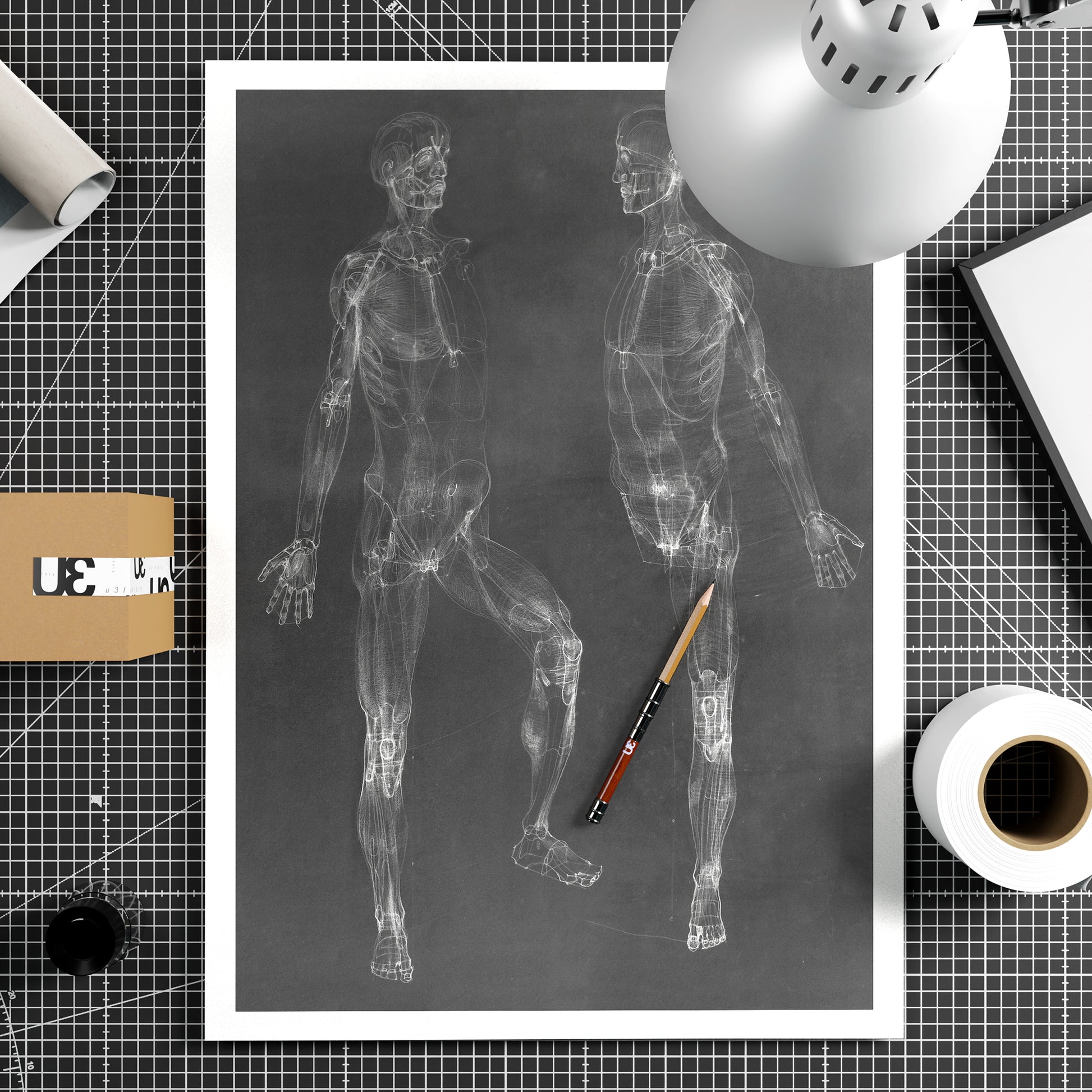 Black and white anatomy art print depicting the human body.