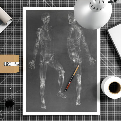 Black and white anatomy art print depicting the human body.