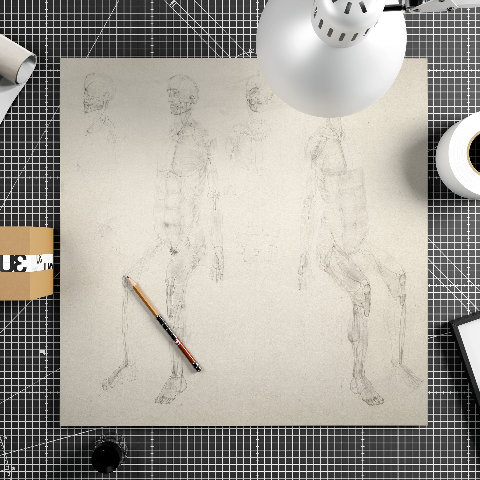 Monochrome anatomy art print with seated figures.