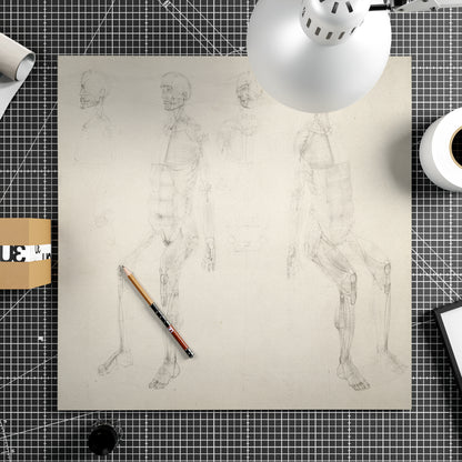 Monochrome anatomy art print with seated figures.
