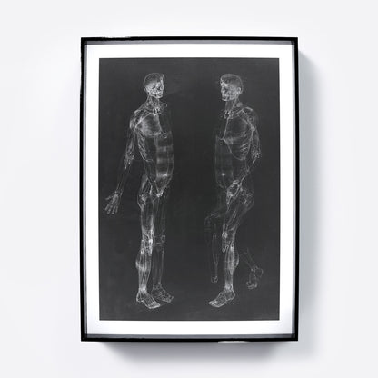 Black and white human body anatomy art print.