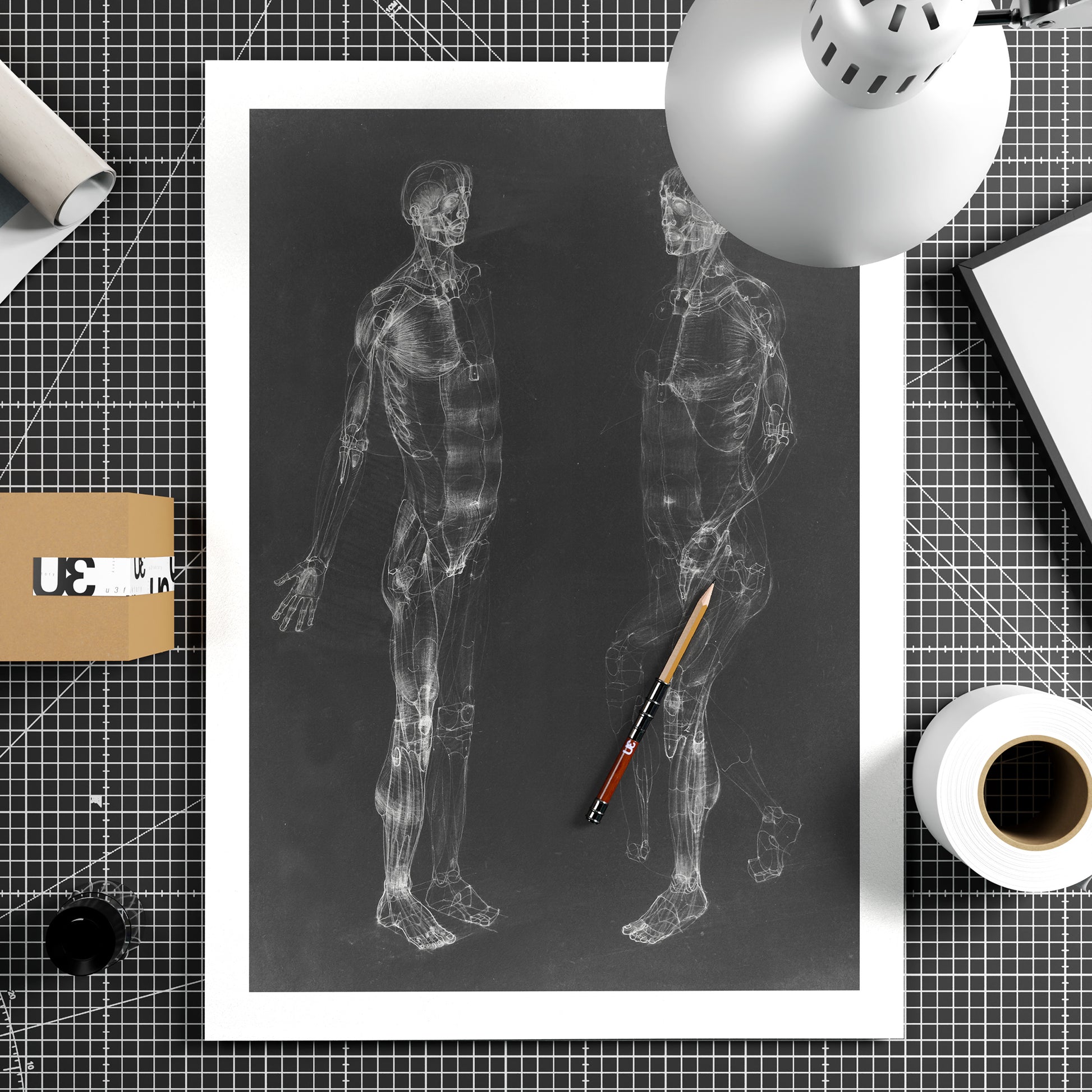 Black and white human body anatomy art print on paper.