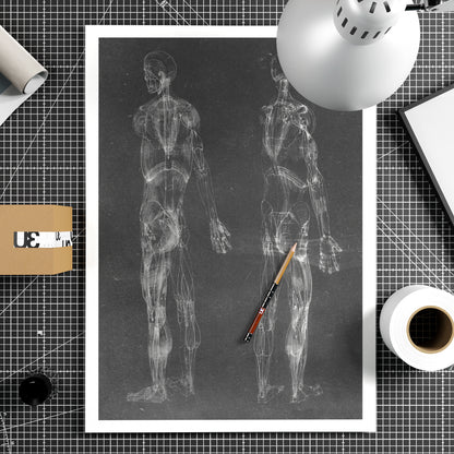 Black and white human body anatomy art print on paper, with two standing figures.