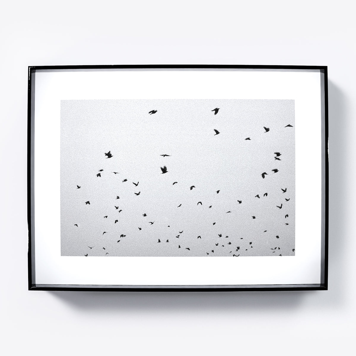 Framed artwork of black birds on a sky background