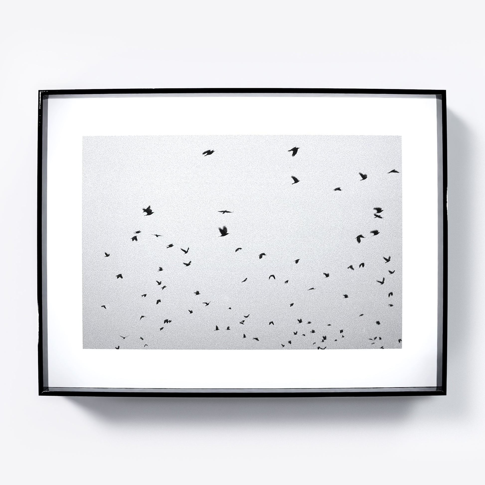 Framed artwork of black birds on a sky background