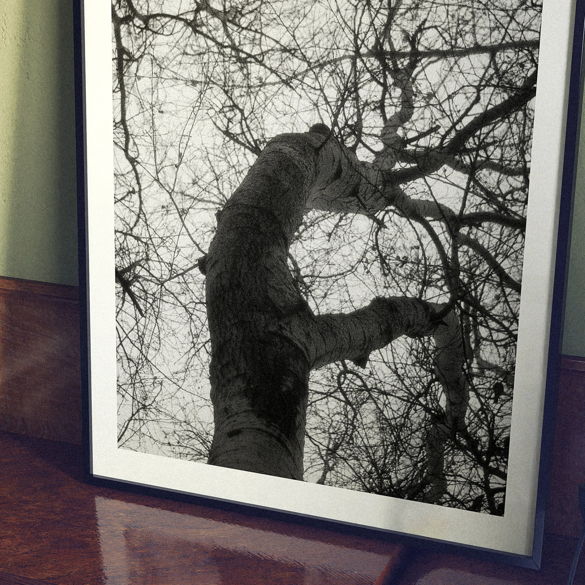 Framed black and white photograph of a tree against a sky background