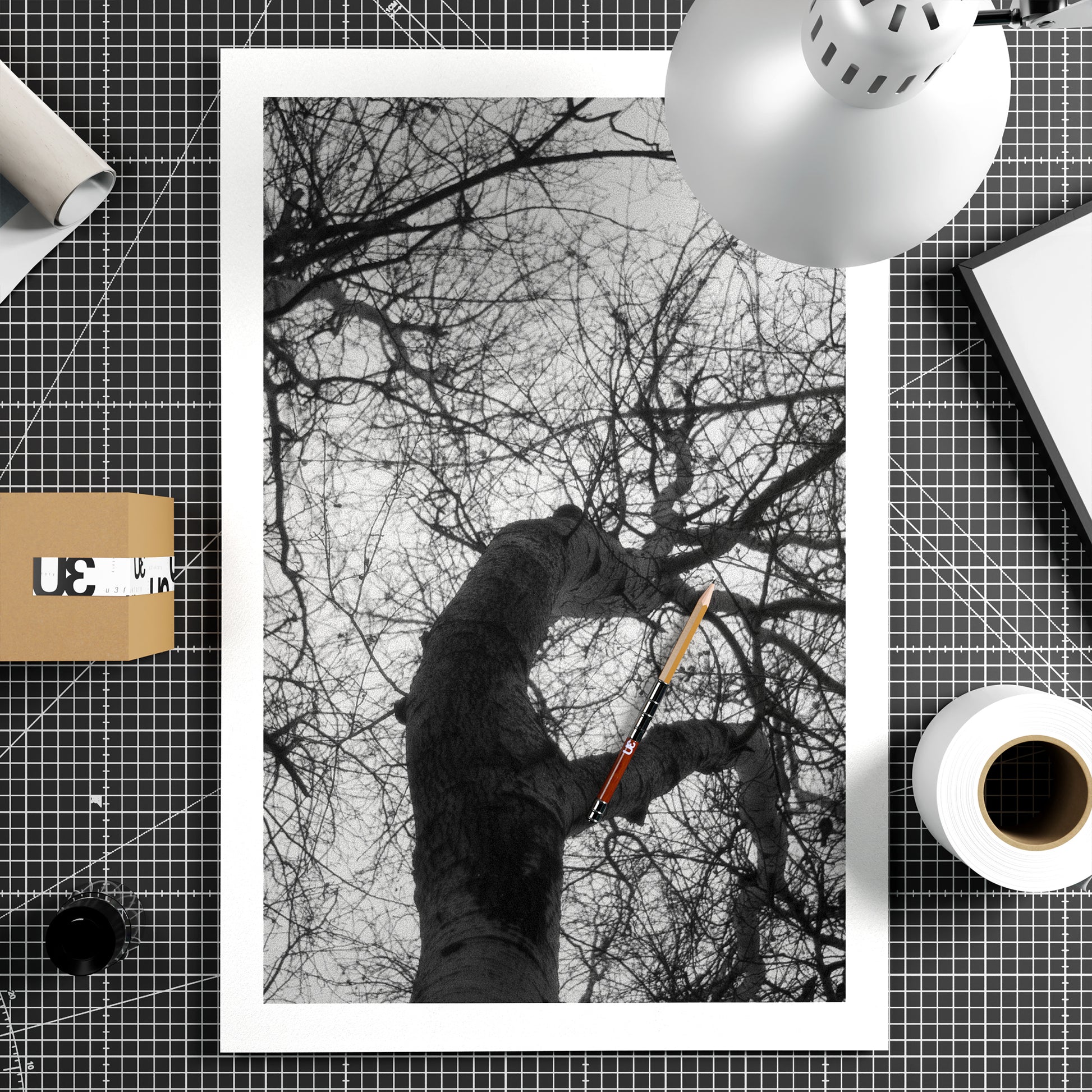 Black and white photo of leafless trees branches, on a grid-patterned surface with stationery items.