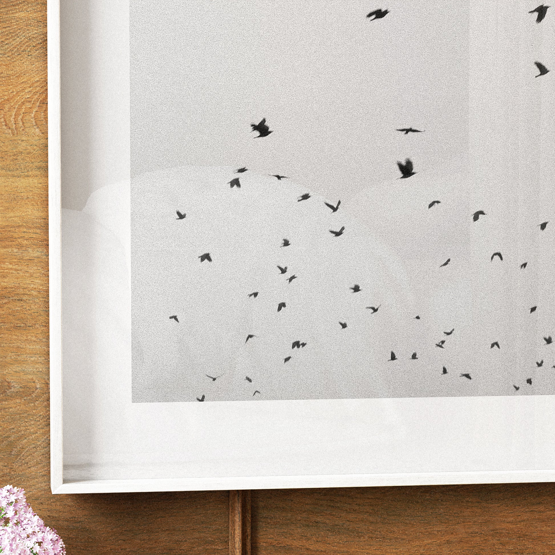 Black and white photography art print with flying birds.