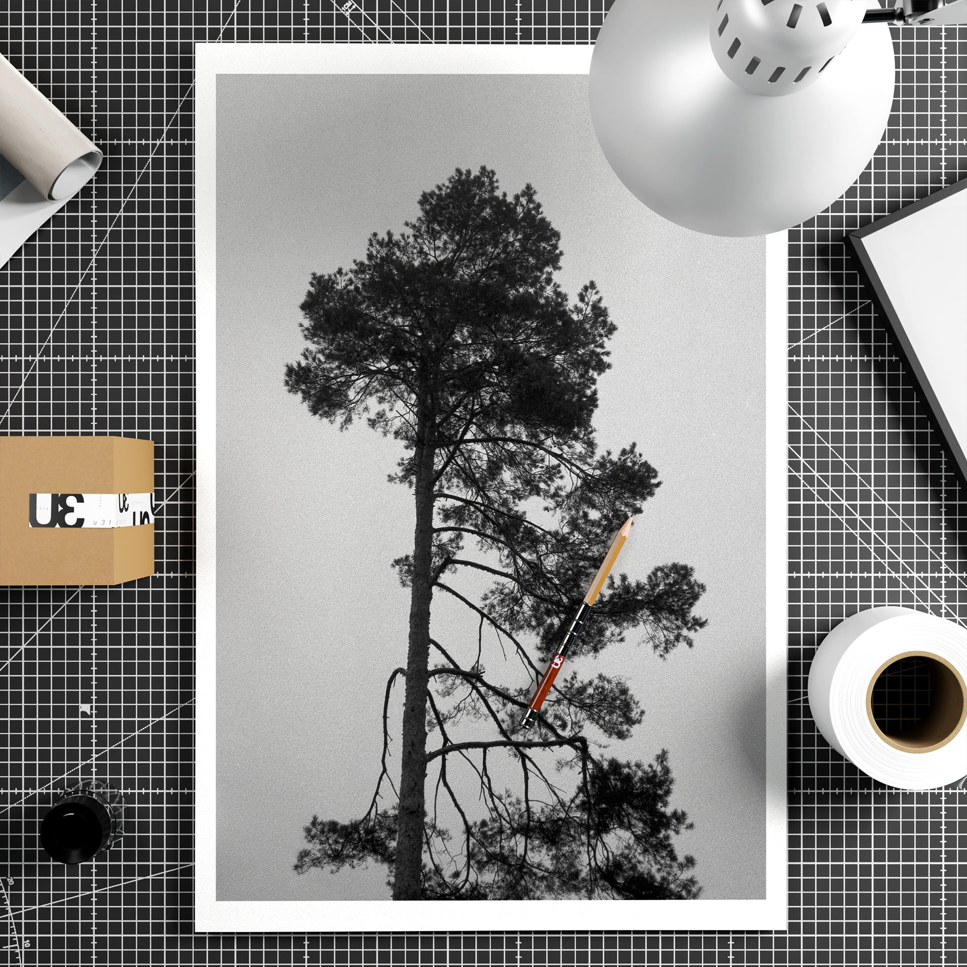 Poster of a tree with a black and white background on a grid surface with stationery items.