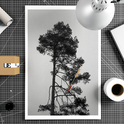 Poster of a tree with a black and white background on a grid surface with stationery items.