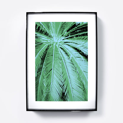 Framed artwork of a palm leaf design on a white background
