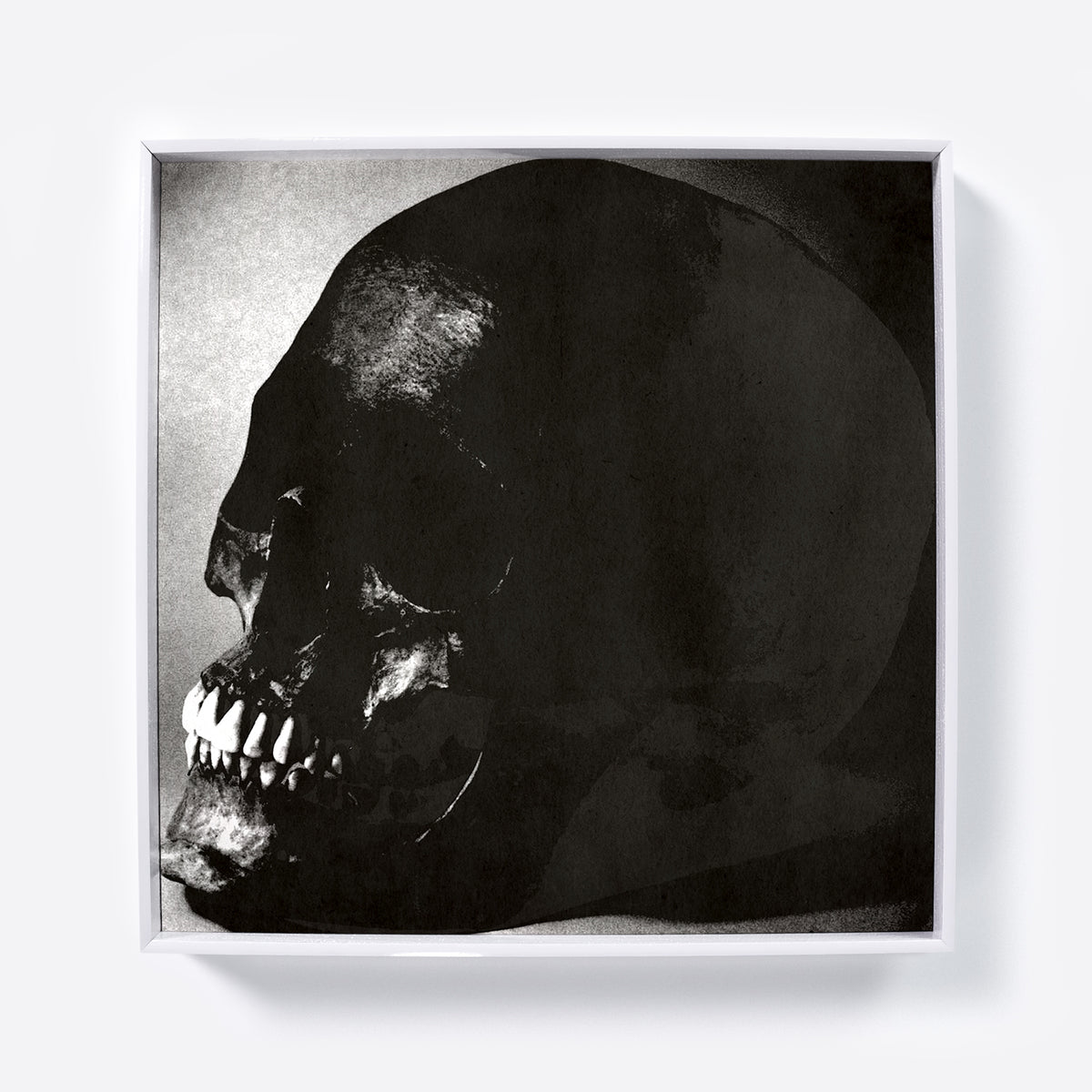 Black and white skull pop art art print.