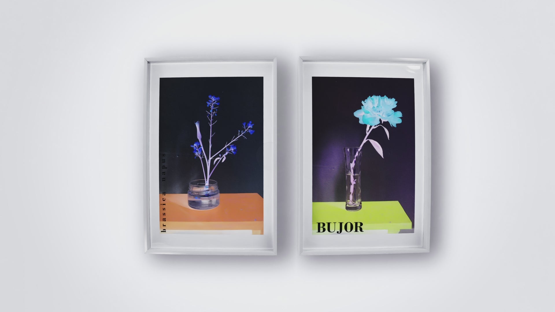 Video showcasing several framed art prints from Emanuel's catalogue. 