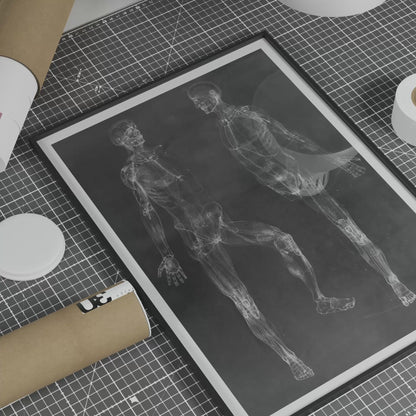 ANATOMY STUDY 2