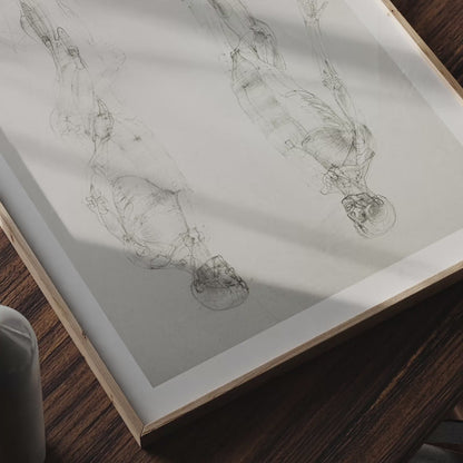 ANATOMY STUDY 6